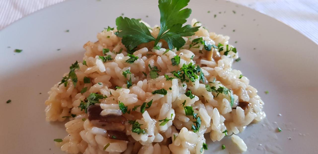 Albergo Meuble Olivi 토스콜라노마데노 외부 사진